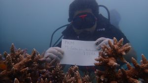 Read more about the article Propagasi Karang Sebagai Upaya Restorasi Terumbu Karang dilakukan Program Studi Sains Lingkungan Kelautan ITERA di Teluk Kiluan, Kab. Tanggamus.